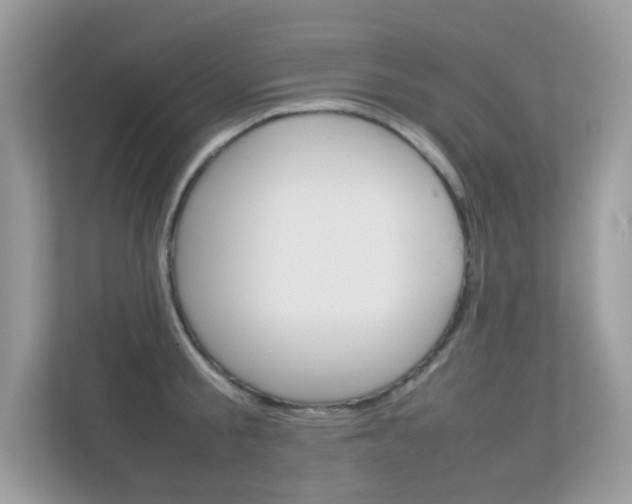 X0000112410805200908141024