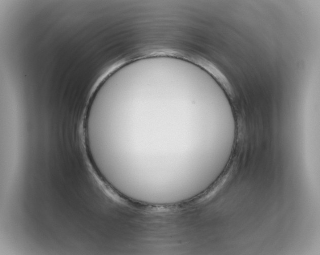 X0000112410806200908141024
