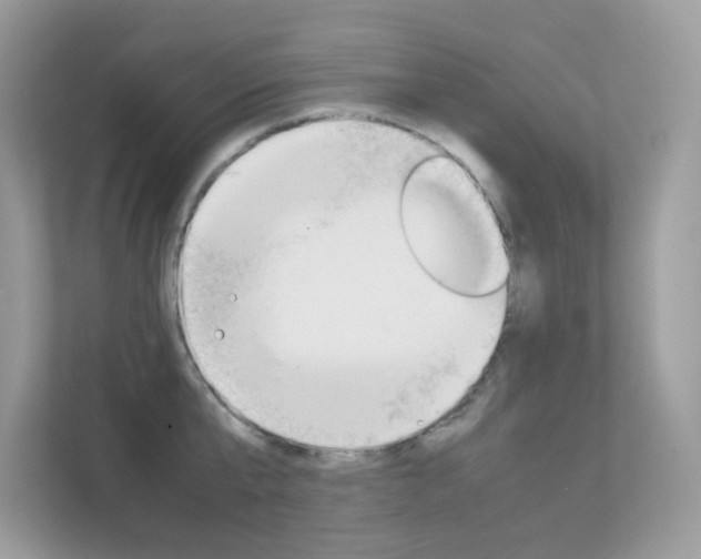 X0000112410807200908141024