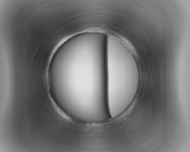 X0000112410808200908141024