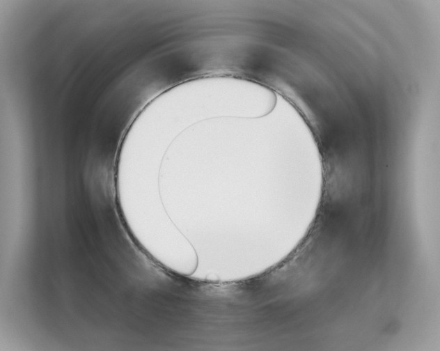 X0000112410810200908141024