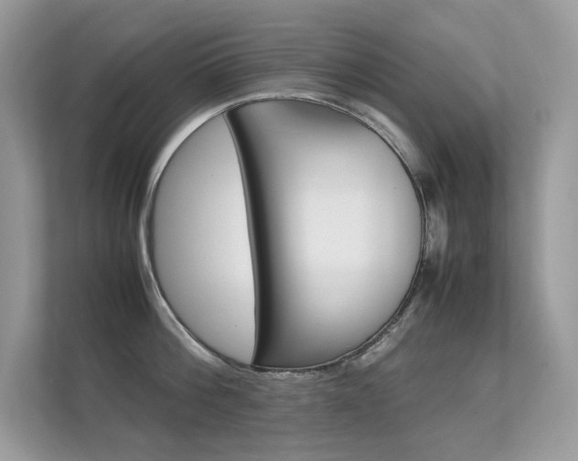 X0000112410812200908141024