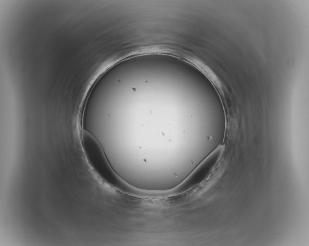 X0000112410813200908141024