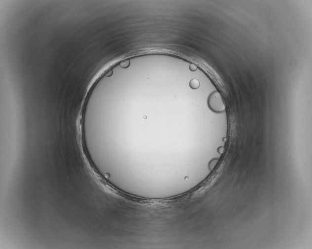 X0000112410814200908141024