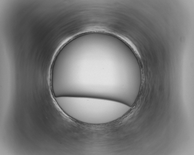 X0000112410815200908141024