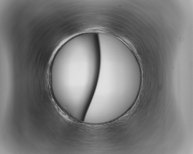 X0000112410816200908141024