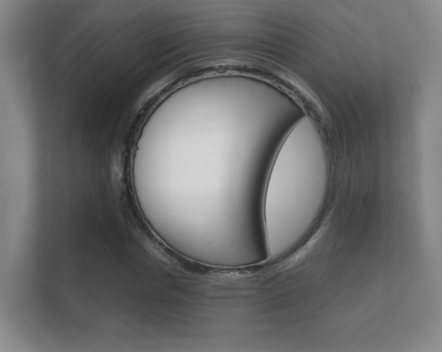 X0000112410826200908141024