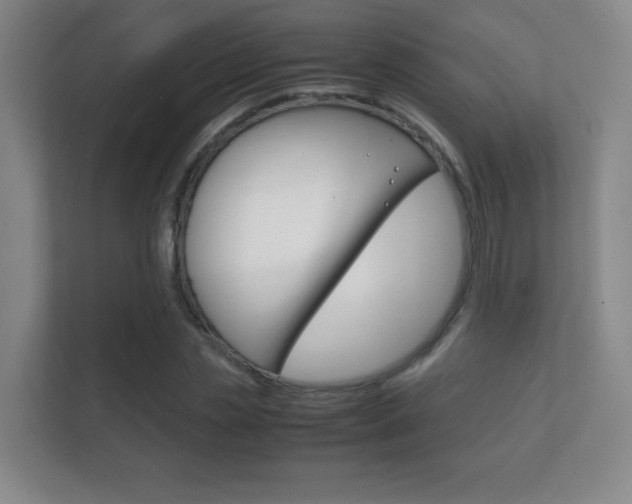 X0000112410829200908141024