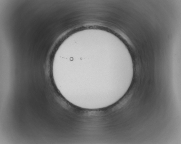 X0000112410832200908141024