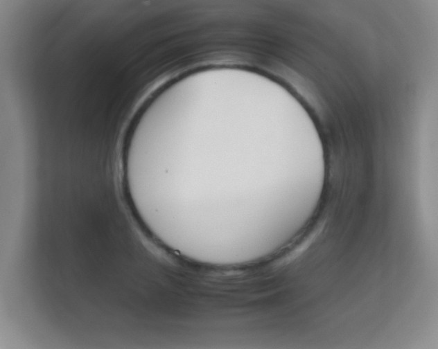 X0000112410837200908141024