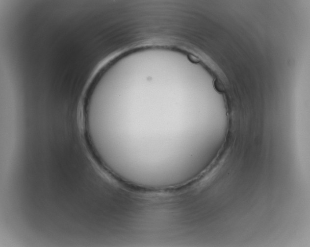 X0000112410838200908141024