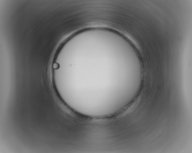 X0000112410840200908141024