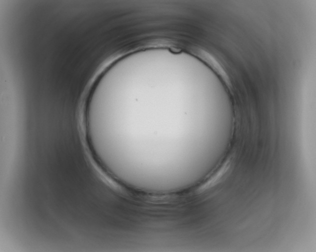 X0000112410843200908141024