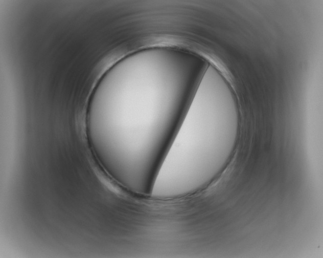 X0000112410850200908141024