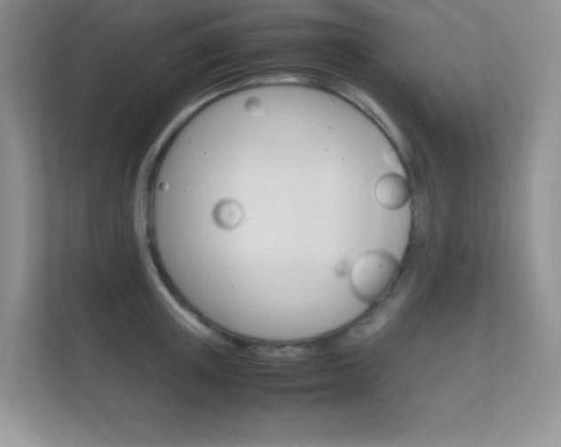 X0000112410851200908141024