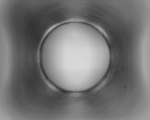 X0000112410854200908141024