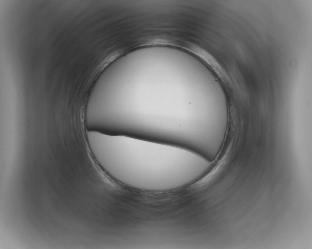 X0000112410857200908141024