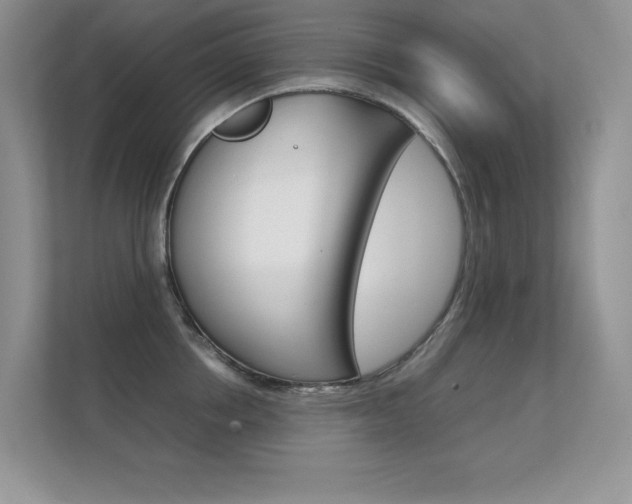 X0000112410858200908141024