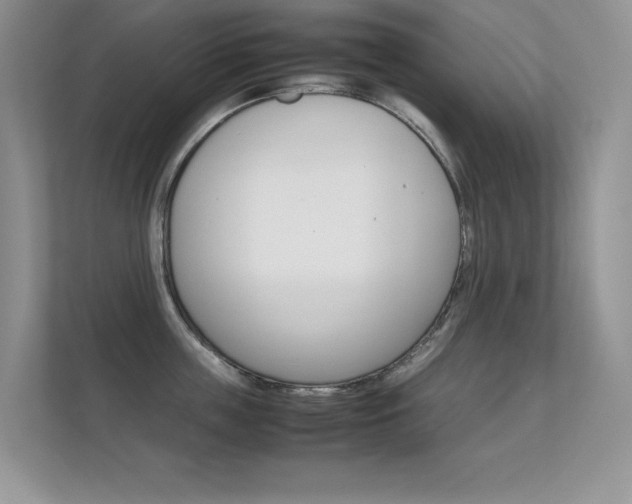 X0000112410859200908141024