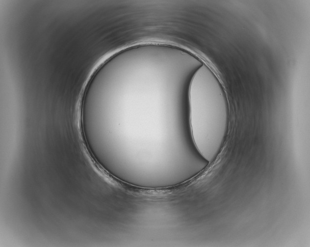 X0000112410862200908141024