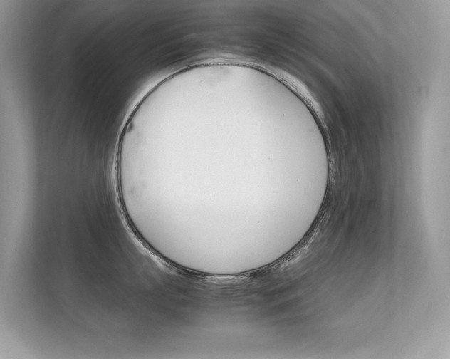 X0000112410863200908141024