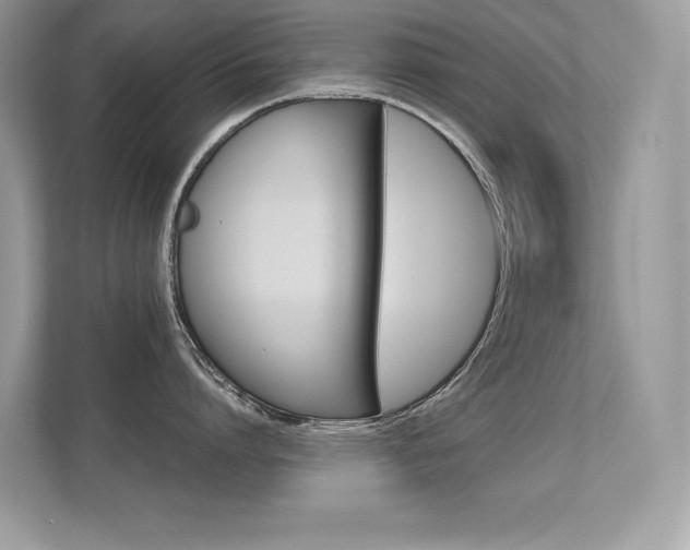 X0000112410864200908141024