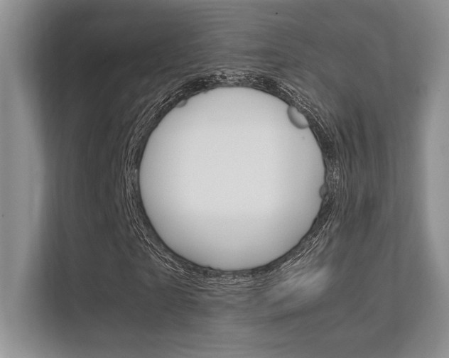 X0000112410865200908141023