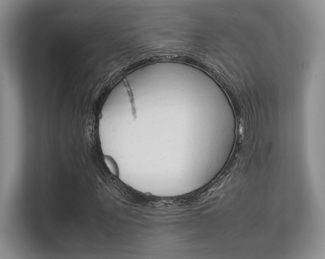 X0000112410867200908141023