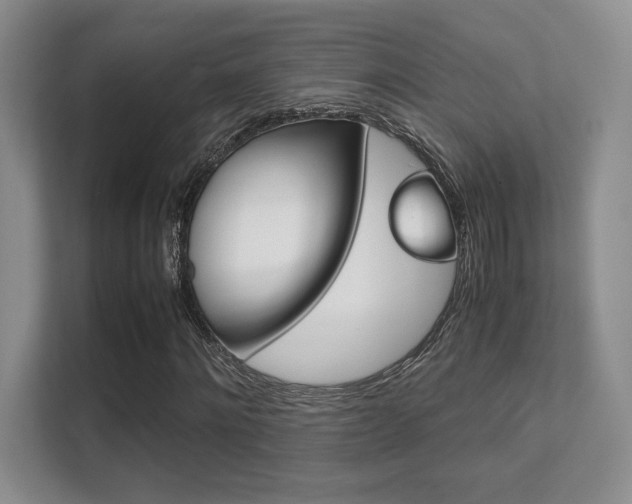 X0000112410868200908141023
