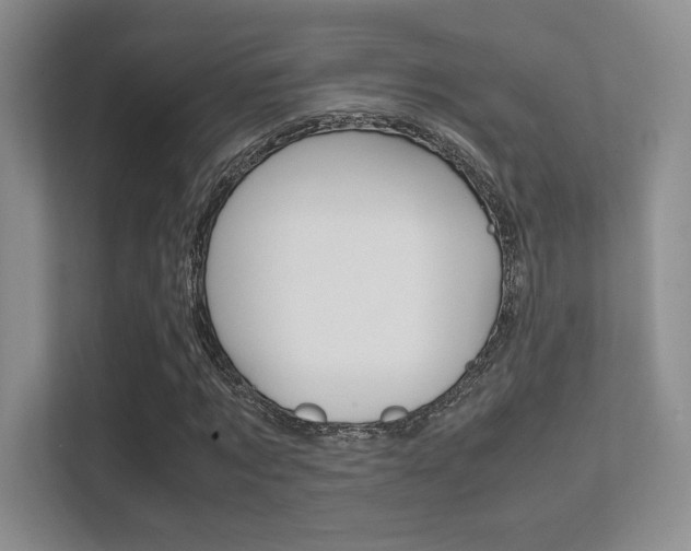 X0000112410869200908141023