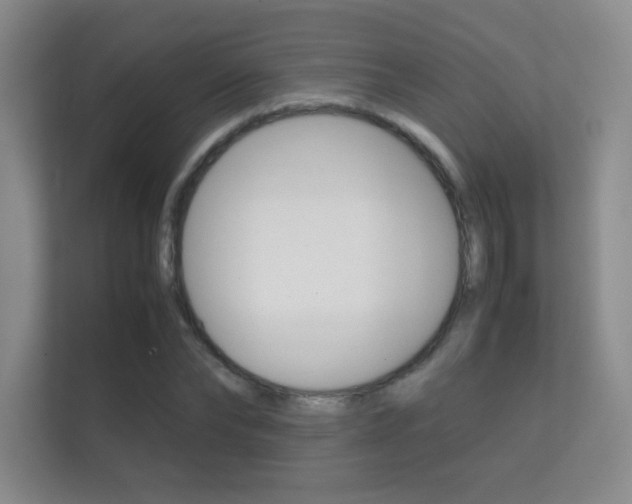 X0000112410878200908141023