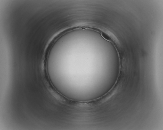 X0000112410880200908141023
