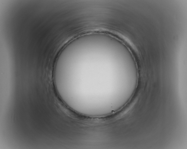 X0000112410881200908141023