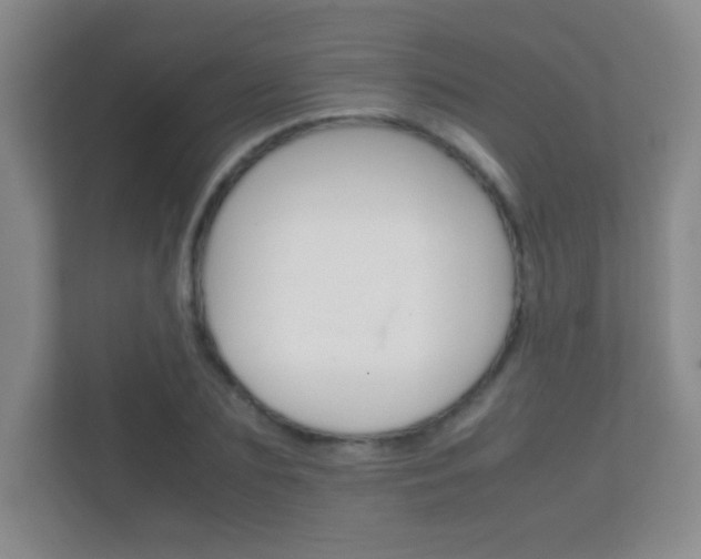 X0000112410883200908141023