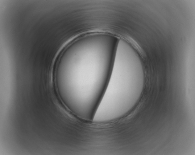 X0000112410884200908141023