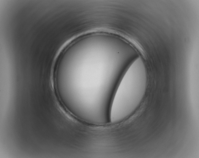 X0000112410888200908141023