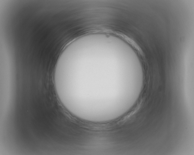 X0000112410889200908141023