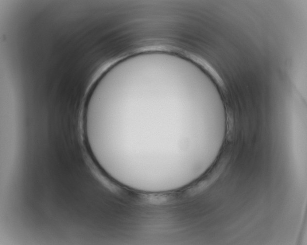 X0000112410890200908141023