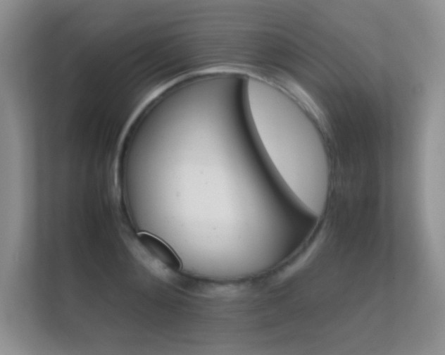 X0000112410892200908141023