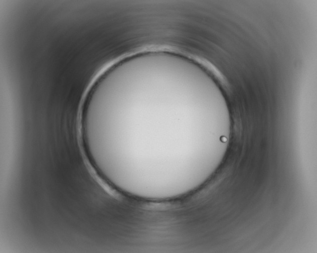 X0000112410894200908141023