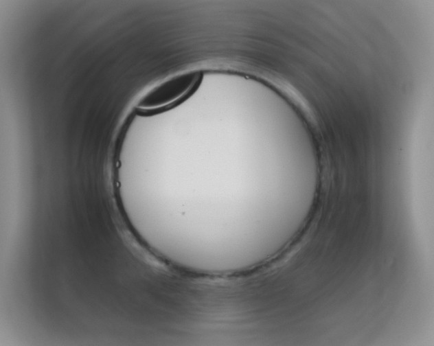 X0000112410896200908141023