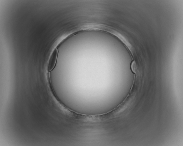 X0000112410901200908141023