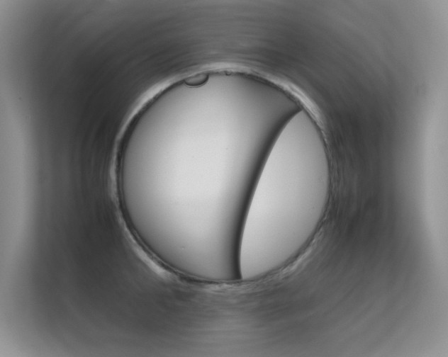 X0000112410902200908141023