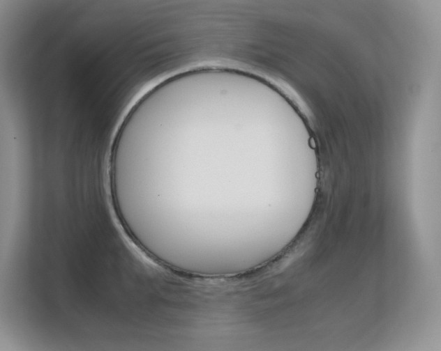 X0000112410903200908141023