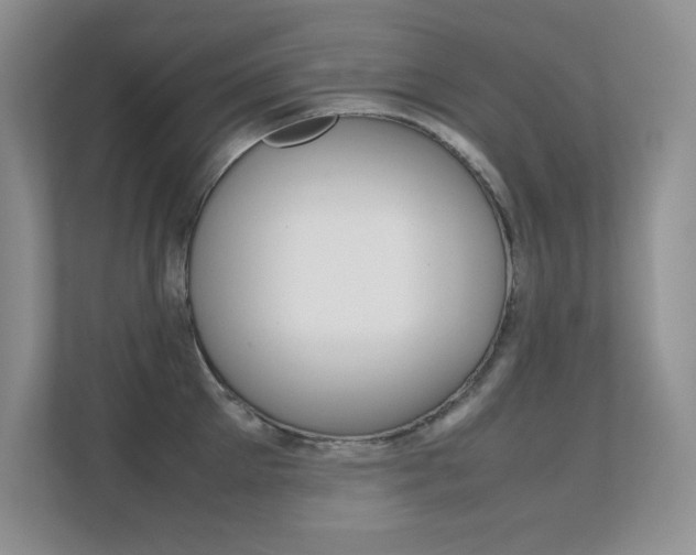 X0000112410905200908141023