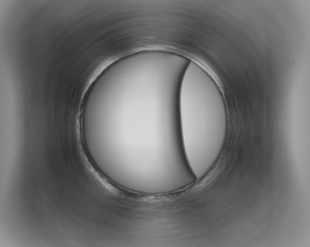 X0000112410906200908141023