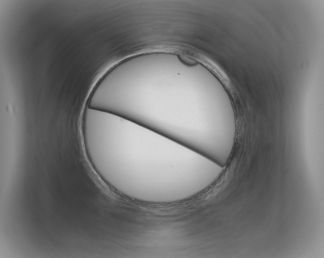 X0000112410907200908141023