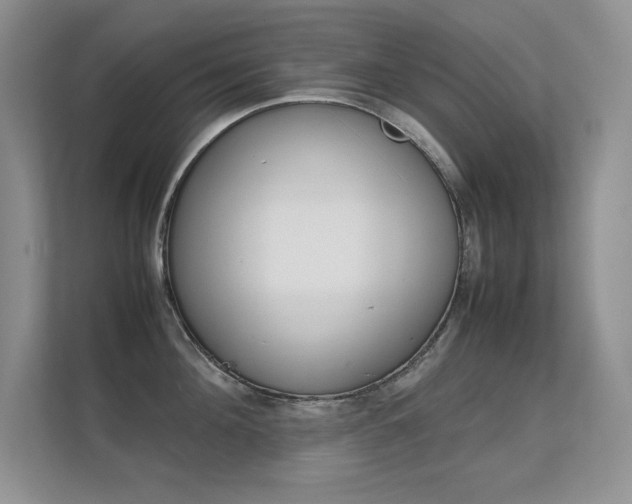 X0000112410908200908141023