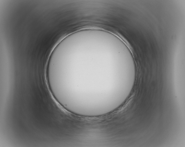 X0000112410909200908141023