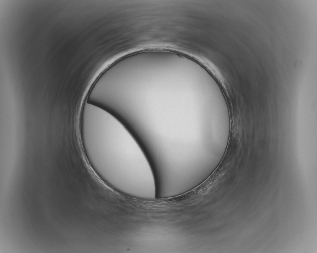 X0000112410911200908141023